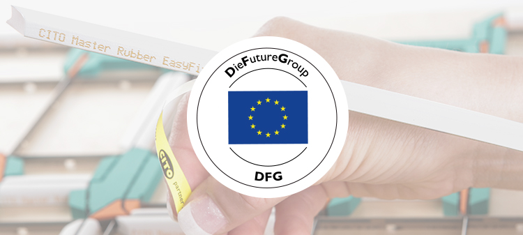 Die Future Group (DFG)